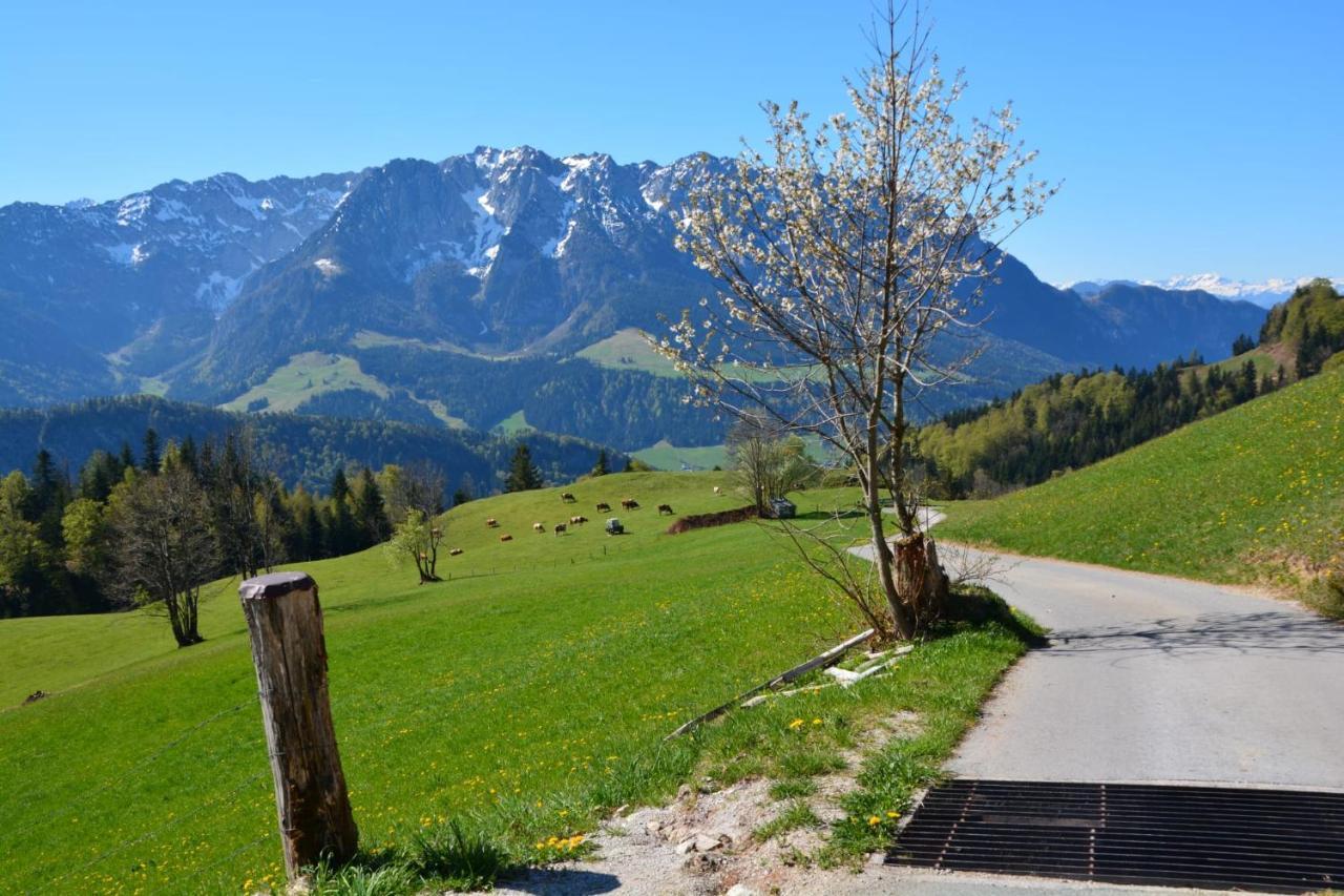 BERGapart Götschl Rettenschöss Exterior foto