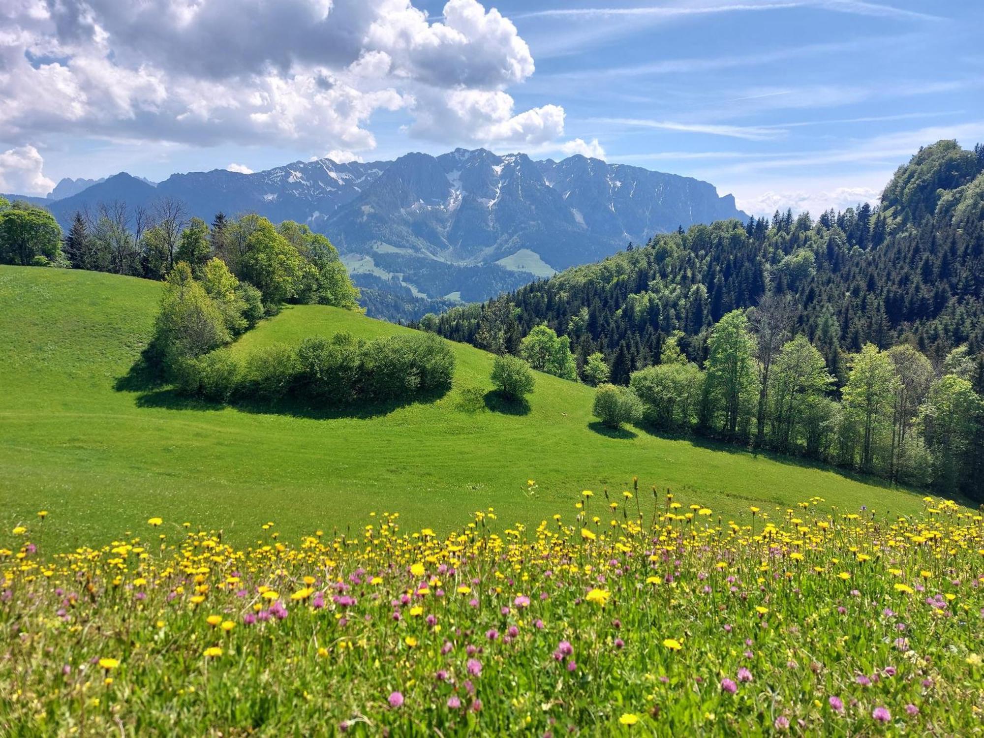 BERGapart Götschl Rettenschöss Exterior foto